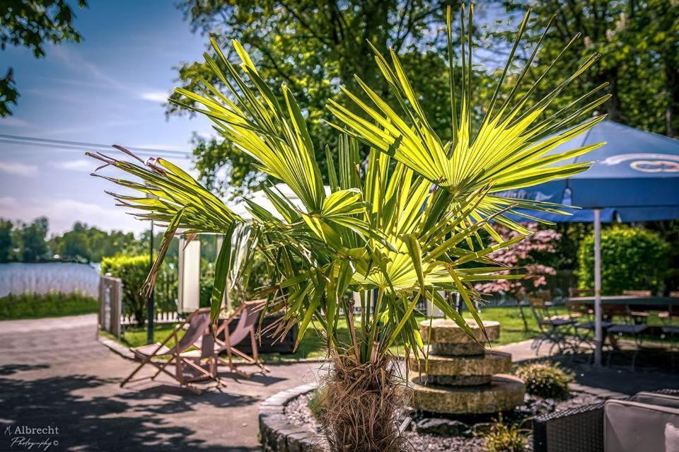 Sopherl Am See - Fruehstueck Auf Der Seeterrasse, Sehr Ruhig Und Wunderschoen Am See, 3 Minuten Nach Oberpfaffenhofen, Viele Radtouren, Restaurants & Cafes In Der Umgebung Weßling Екстериор снимка